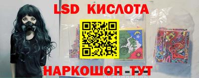 прущие грибы Будённовск