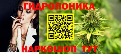 прущие грибы Будённовск