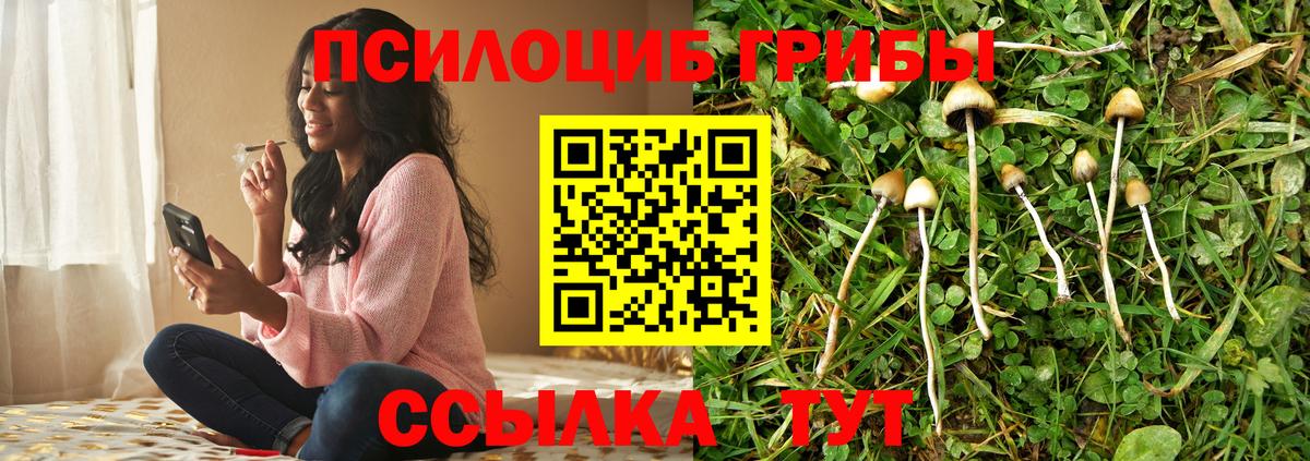 Галлюциногенные грибы MAGIC MUSHROOMS Тамбов