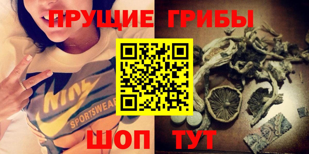Тамбов  Псилоцибиновые грибы прущие грибы  Вход с VPN  Псилоцибиновые грибы Cubensis 